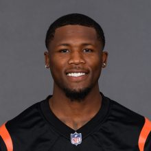 Tee Higgins